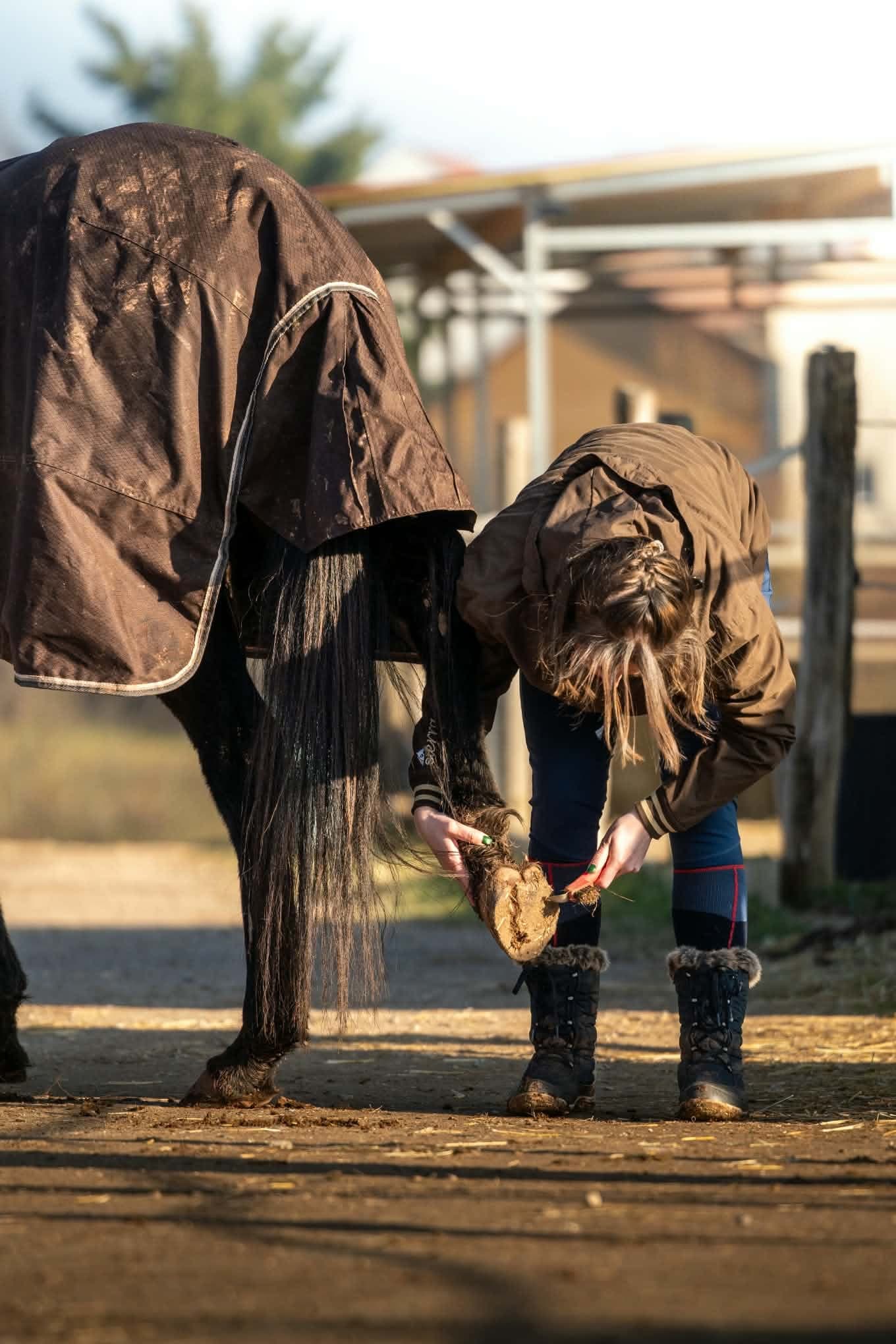 Rider picking out the hooves of her horse in a blanket, at the active stable